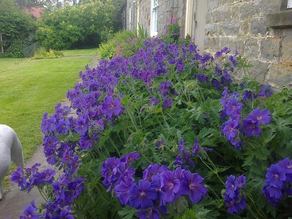 Bed and Breakfast Barmoors à Lastingham Extérieur photo